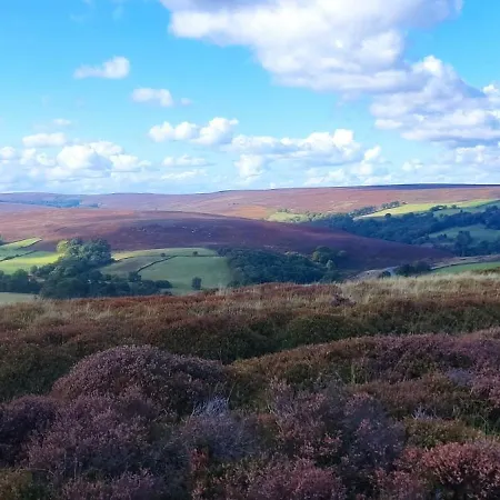 Prázdninový dům Bluebird