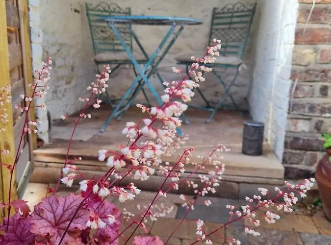 Bluebird בית נופש *