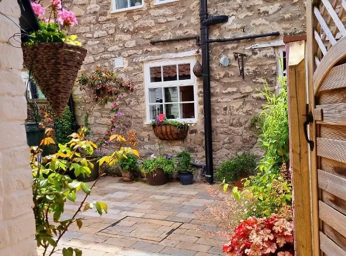 Bluebird * Pickering